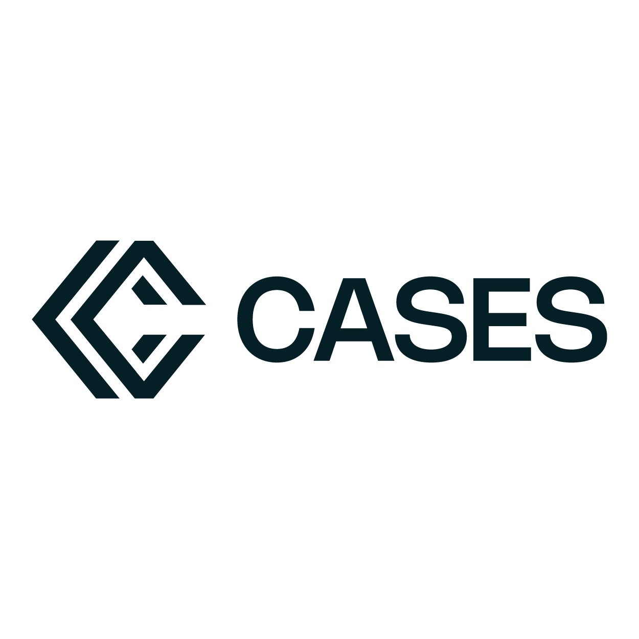Cases Consulting